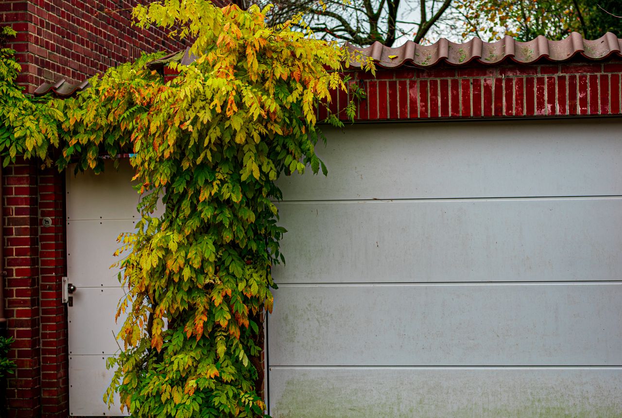 Garage door service in Rosemount, MN